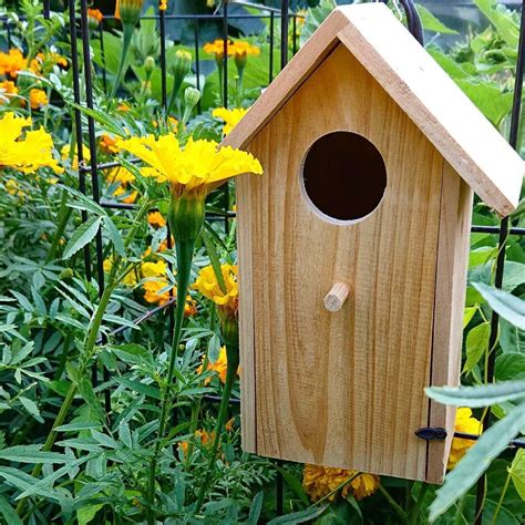 nesting boxes for small birds